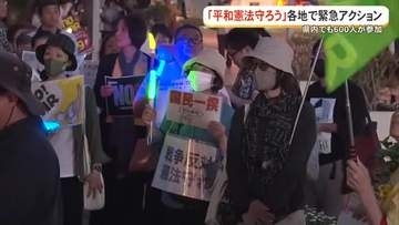 衆議院の憲法審査会　各党の主張は　「平和憲法守れ」沖縄でもスタンディング