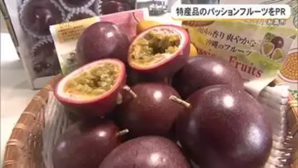 パッションフルーツの魅力発信　拠点産地の糸満市でPRイベント