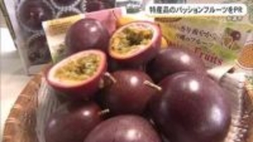 パッションフルーツの魅力発信　拠点産地の糸満市でPRイベント