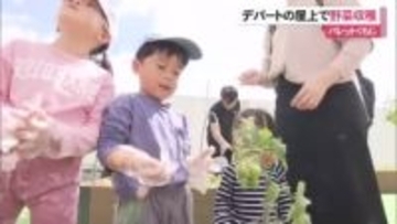 那覇市のデパートの屋上菜園で収穫体験　子ども達が自然の恵みに感謝