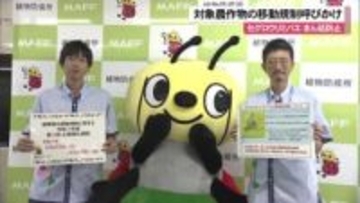 セグロウリミバエのまん延防止　対象農作物の移動規制・広報強化週間