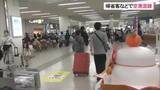 「帰省客や観光客で那覇空港混雑　Uターンピークは年明け3日以降」の画像1
