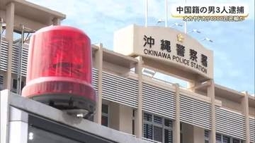 オカヤドカリ4000匹あまり密輸図ったか　中国籍の男3人を逮捕