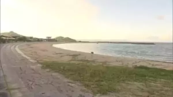 南城市・パラグライダー墜落事故で2人死傷　死亡した操縦者で運営会社の代表を書類送検