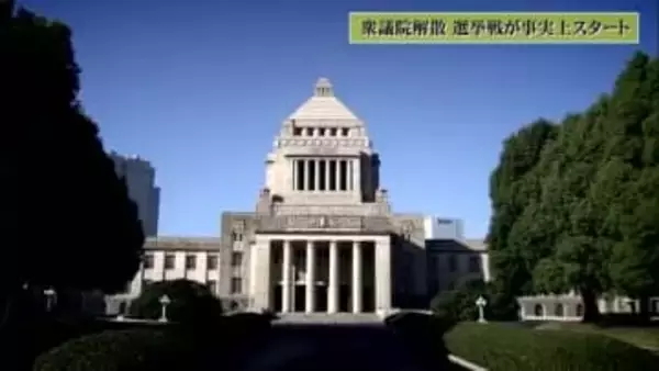 沖縄選挙区の立候補予定者の顔ぶれと争点