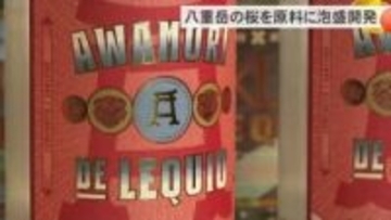 八重岳の桜の酵母で作る香り豊かな泡盛発売　海外への販路拡大目指す
