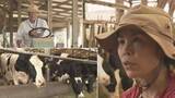 「沖縄県産牛乳の“ともしび”を守り続ける親子の奮闘　酪農家激減の逆境の中、正念場の夏」の画像1