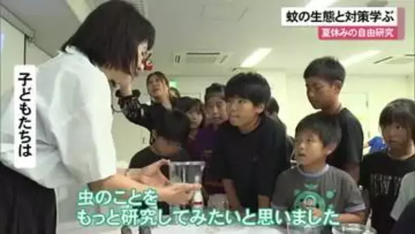 蚊の生態と対策学ぶ　夏休みの自由研究に