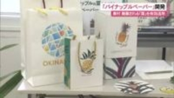パイナップルの葉を活用「パイナップルペーパー」開発 新たな価値を創出し持続可能な産業へ 沖縄県東村