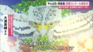 やんばる・西表島の自然をテーマにした図画コンクール表彰式