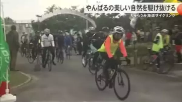 やんばるの美しい自然を駆け抜ける　ちゅらうみ海道サイクリングに県内外から96人参加