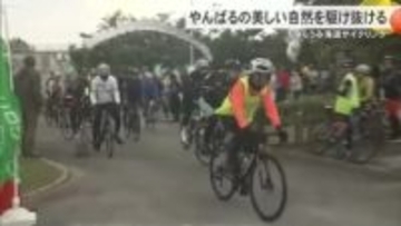 やんばるの美しい自然を駆け抜ける　ちゅらうみ海道サイクリングに県内外から96人参加