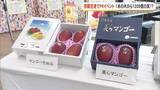 「マンゴーの日で那覇空港でセレモニー 　今帰仁村では1本のマンゴー木から1200個あまりの実が成る」の画像1