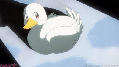 アニメ『らんま1/2』あかねが鴨子溺泉の水を浴び、アヒルに変身してしまう!? 第24話「がんばれムース」あらすじ＆先行カット