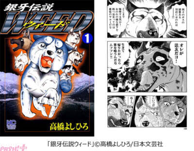 主人公をしのぐヒールの魅力!? 『名探偵コナン』『犬夜叉』『鋼の錬金術師』など人気作のキャラがランクインの“推せる悪役”ランキングが発表