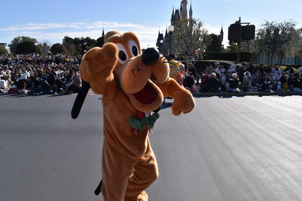 和装姿のミッキーたちが新年のご挨拶！東京ディズニーランドのお正月が今年も可愛い！