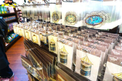 【ポケモン】ポケモンたちが目の前にいる…！ ファンならマストで訪れたくなる『ポケパーク カントー』内覧会の様子をフォトレポートでお届け