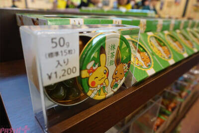 【ポケモン】ポケモンたちが目の前にいる…！ ファンならマストで訪れたくなる『ポケパーク カントー』内覧会の様子をフォトレポートでお届け