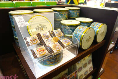 【ポケモン】ポケモンたちが目の前にいる…！ ファンならマストで訪れたくなる『ポケパーク カントー』内覧会の様子をフォトレポートでお届け