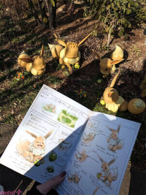 【ポケモン】ポケモンたちが目の前にいる…！ ファンならマストで訪れたくなる『ポケパーク カントー』内覧会の様子をフォトレポートでお届け