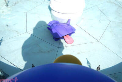 【ポケモン】ポケモンたちが目の前にいる…！ ファンならマストで訪れたくなる『ポケパーク カントー』内覧会の様子をフォトレポートでお届け