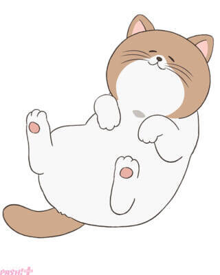 アニメ『正反対な君と僕』イエティ役を楠木ともりさん、てんぷら役を加藤渉さんが担当！ ファン必見の二役キャストに