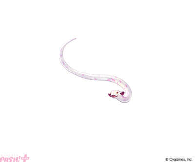 『グラブル』午神の末裔とされるひとりの少女に起こる、逃れようのない運命とは…？ イベント「一〇八草子 十二神将会議その三」が開催！