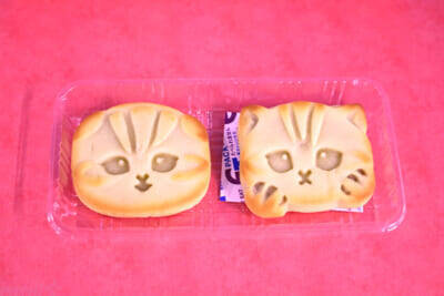 【ねこの日】『mofusand』やCoony(クーニー)さん、ヤマト運輸とコラボしたにゃんこたちのデザインがかわいすぎる…！ 「ファミリ～にゃ～ト大作戦！」大注目のコラボ商品を紹介