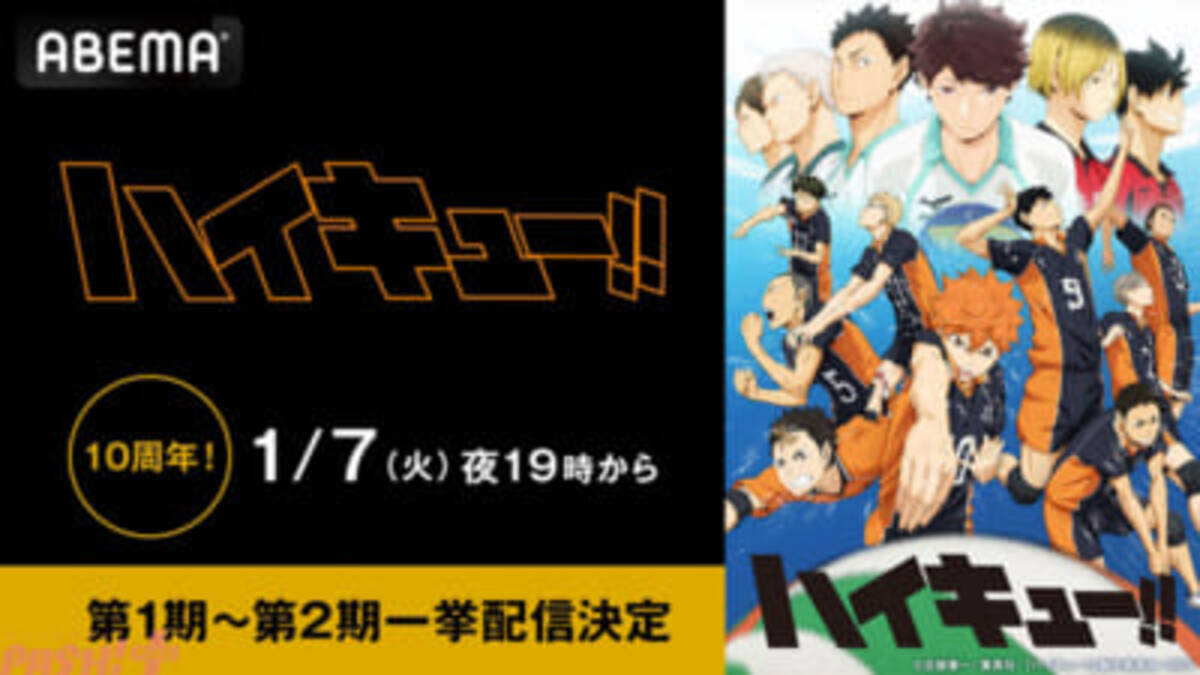 ハイキュー!! 第1シーズンDVD全9巻