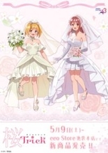 『桜Trick』春香＆優のウェディングドレス姿に妄想が膨らむ…！ 描き下ろしイラストも登場の新作グッズが発売