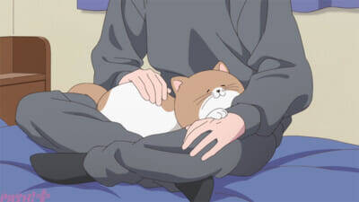 アニメ『正反対な君と僕』谷の誕生日を迎え、鈴木と谷は博物館デートへ！ 第9話「サプライズ！」のあらすじ＆先行カット