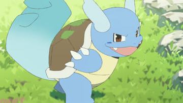 【ポケモン】長生きなカメールとのひと夏の思い出を描く！ 『POKETOON(ポケトゥーン)』最新作「カメールと、夏のつづき」が公開