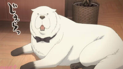 アニメ『SPY×FAMILY』Season3もいよいよクライマックス！ 最終話となるMISSION:50「生き残れない世界」先行カットが公開