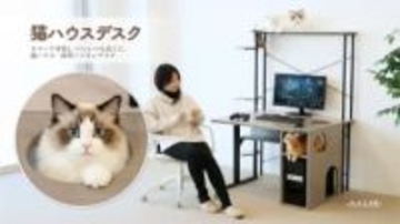 ゲーム中の"ネコハラ"を防ぐ「猫ハウスデスク」