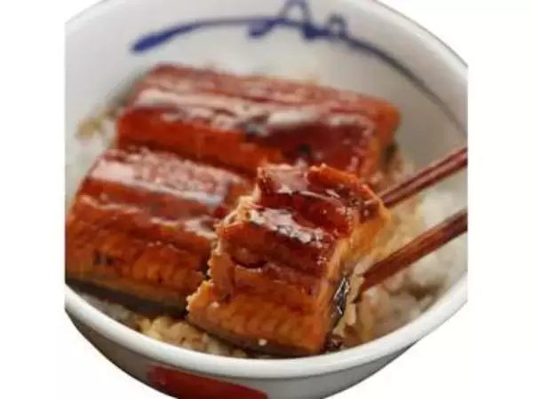 【本日みつけたお買い得品】松屋の鰻の蒲焼×10食セットが48%オフ。牛めしの具もお買い得に！