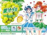 「【本日みつけたお買い得品】原作版「セーラームーン」のマグネット付きグミが半額！」の画像1