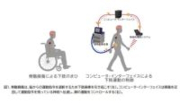外科手術なしで脊髄損傷を迂回し信号を伝える手法、リハビリとしても有効か
