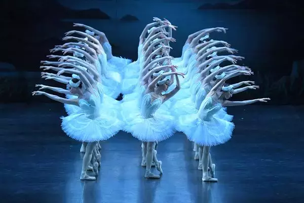 牧阿佐美バレヱ団『白鳥の湖』が間もなく開幕　伝統の古典全幕作品で新たなヒロインが羽ばたく