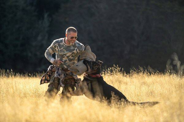 ブラッド・ピットが義足の愛犬と大自然アラスカへ！ 『ハート・オブ・ビースト』予告映像＆場面写真公開