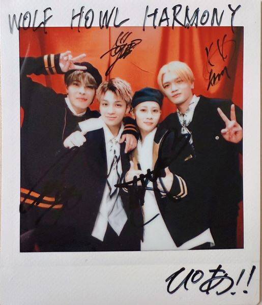 積み重ねてきた日々が、未来を変える。WOLF HOWL HARMONY『Marmalade』が映す姿