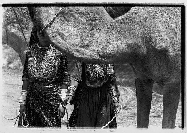 Bunkamura ザ・ミュージアム現展示室で行われる最後の展覧会『高木由利子 写真展 Threads of Beauty 1995-2025 ― 時をまとい、風をまとう。』3月10日から