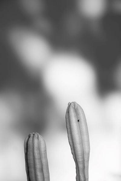 【SuUインタビュー / 後編】東京から茨城へ、活動拠点を移して制作されたEP『Temples』に込めた思い＆開催間近となるツアーへの決意を語る