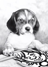 ORANGE RANGE・NAOTOのソロ名義 "naotohiroyama"、 最新作「lotus」配信＆リリースパーティー開催決定