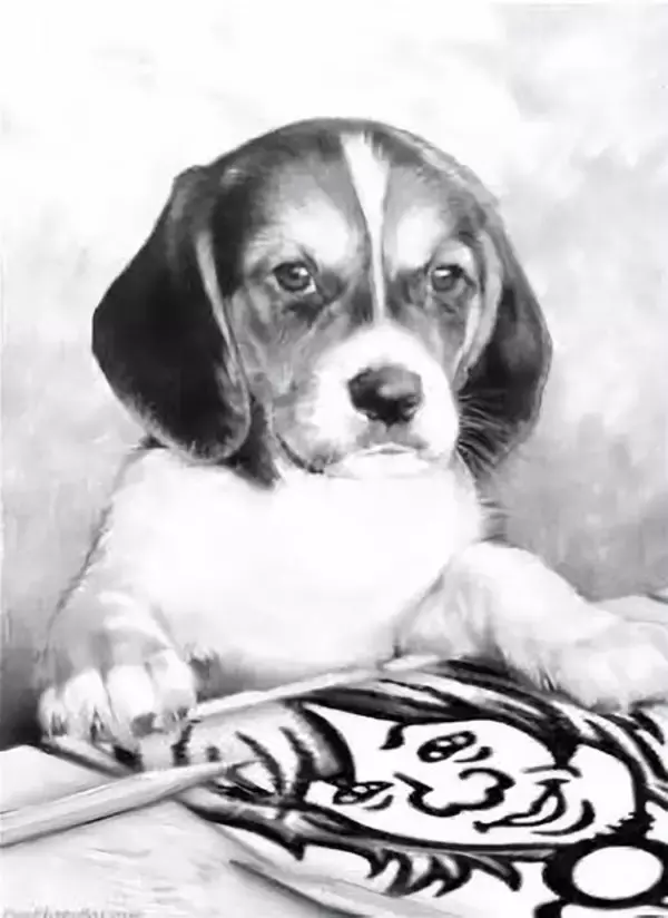 ORANGE RANGE・NAOTOのソロ名義 "naotohiroyama"、 最新作「lotus」配信＆リリースパーティー開催決定