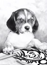 ORANGE RANGE・NAOTOのソロ名義 "naotohiroyama"、 最新作「lotus」配信＆リリースパーティー開催決定