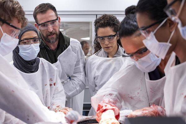 『ER』ファン必見！ エミー賞13部門ノミネートの傑作医療ドラマ『ザ・ピット』続編が配信スタート