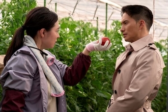 吹石一恵が映画『正直不動産』に出演　11年ぶりのカムバックも出演「即決」