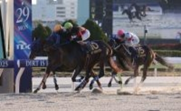 【地方競馬】2025年は暦年での売得金額レコード
