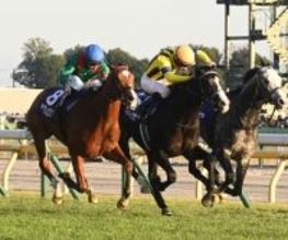 【競馬】ジャパンカップが「2025年ワールドベストレース」を受賞　2月22日の東京10Rは「受賞記念」に変更