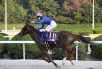【競馬】ソーダズリング、レディスクラシック連覇のアンモシエラが引退、繁殖馬に